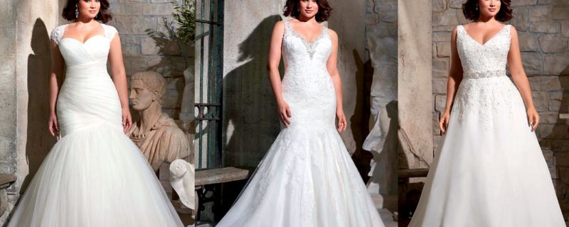 Curvy brides, looks para inspirarte.