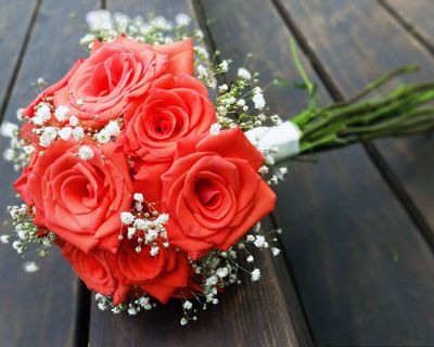 Living Coral: El Color del año 2019 según Pantone