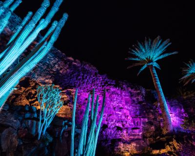 TENDENCIAS DEL TURISMO DE REUNIONES Y EVENTOS PARA 2020