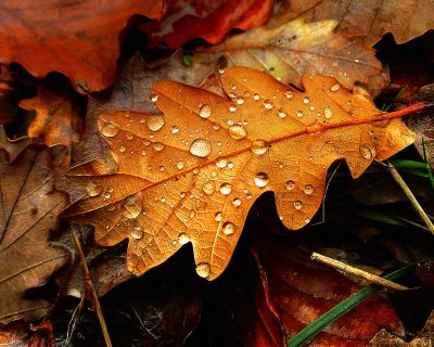 Cuidados de la piel en otoño: cómo mitigar los excesos de las vacaciones