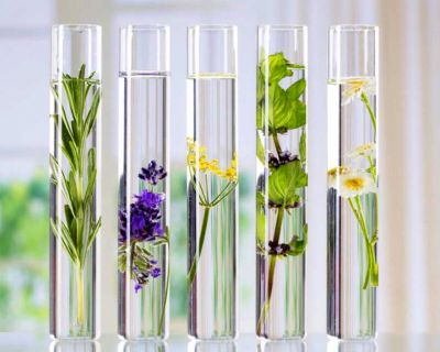 3 recetas naturales para limpiar y calmar tu piel