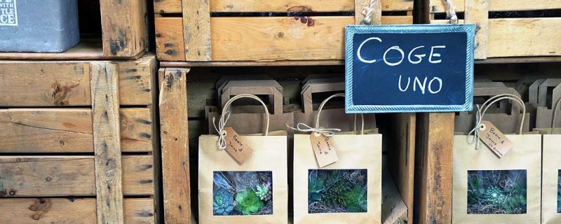 Ideas para dar las gracias a vuestros invitados